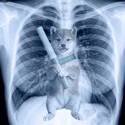 Baton the dog meme